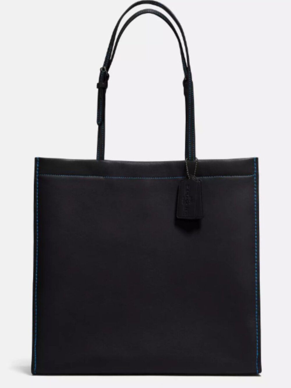 Coach Skinny Tote in Glovetanned Leather